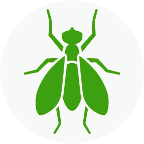 checklist icon